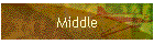Middle