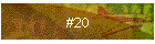 #20